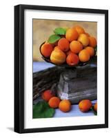 Les Abricots-Dominque Zintzmeyer-Framed Art Print