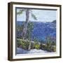 Les Aloes du Cap-Tania Forgione-Framed Giclee Print