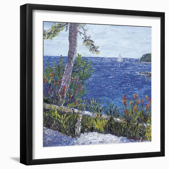 Les Aloes du Cap-Tania Forgione-Framed Giclee Print