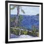 Les Aloes du Cap-Tania Forgione-Framed Giclee Print