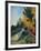 Les Alyscamps-Paul Gauguin-Framed Giclee Print