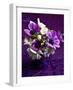 Les Anemones-Catherine Beyler-Framed Art Print