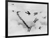 Les anges by l'enfer, HELL'S ANGELS, by HowardHughes, 1930 (b/w photo)-null-Framed Photo