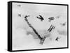 Les anges by l'enfer, HELL'S ANGELS, by HowardHughes, 1930 (b/w photo)-null-Framed Stretched Canvas