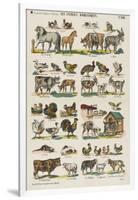 Les animaux domestiques-null-Framed Premium Giclee Print