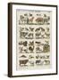 Les animaux domestiques-null-Framed Giclee Print