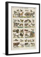 Les animaux domestiques-null-Framed Giclee Print