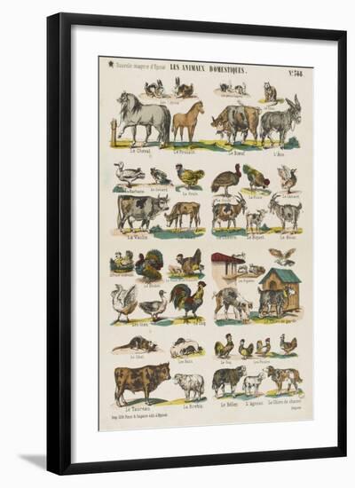 Les animaux domestiques-null-Framed Giclee Print