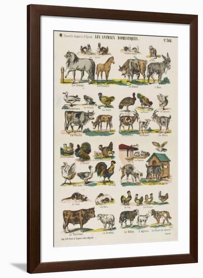 Les animaux domestiques-null-Framed Giclee Print