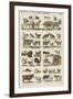 Les animaux domestiques-null-Framed Giclee Print