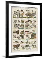 Les animaux domestiques-null-Framed Giclee Print