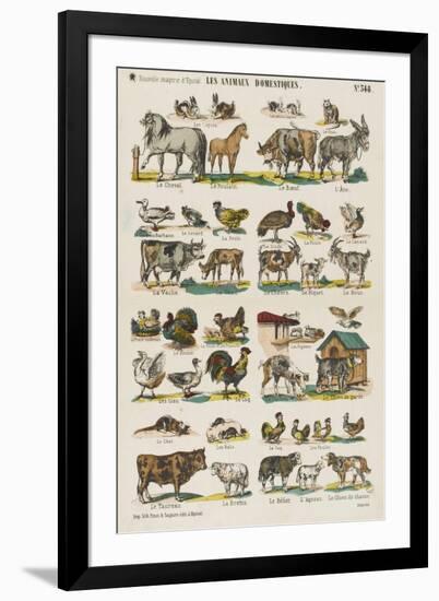 Les animaux domestiques-null-Framed Giclee Print