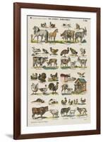 Les animaux domestiques-null-Framed Giclee Print