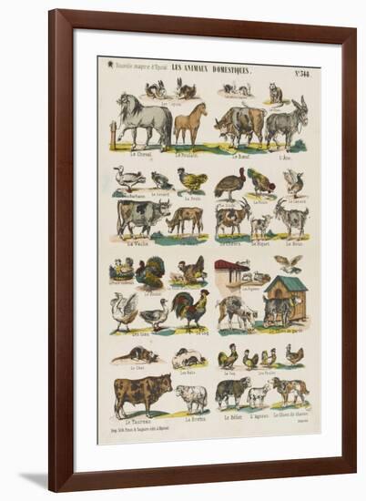 Les animaux domestiques-null-Framed Giclee Print