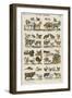 Les animaux domestiques-null-Framed Premium Giclee Print