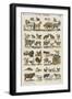 Les animaux domestiques-null-Framed Giclee Print