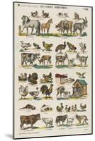 Les animaux domestiques-null-Mounted Giclee Print