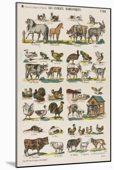 Les animaux domestiques-null-Mounted Giclee Print