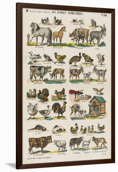 Les animaux domestiques-null-Framed Giclee Print