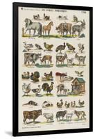 Les animaux domestiques-null-Framed Giclee Print