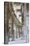 Les Arenes D'Arles. Roman Amphitheater. Unesco World Heritage Site. Arles, Provence, France-Tom Norring-Stretched Canvas