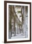Les Arenes D'Arles. Roman Amphitheater. Unesco World Heritage Site. Arles, Provence, France-Tom Norring-Framed Photographic Print