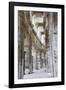 Les Arenes D'Arles. Roman Amphitheater. Unesco World Heritage Site. Arles, Provence, France-Tom Norring-Framed Photographic Print