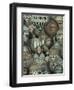 Les Balloons-Mindy Sommers-Framed Premium Giclee Print