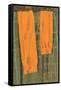 Les Bas Oranges, 2004-Delphine D. Garcia-Framed Stretched Canvas