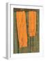 Les Bas Oranges, 2004-Delphine D. Garcia-Framed Giclee Print