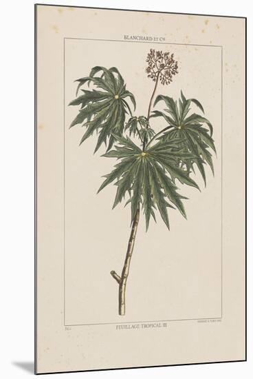 Les Botaniques IV-Georg Dionysius Ehret-Mounted Giclee Print