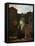 Les Cascatelles De Tivoli (Cascatelle Grandi in Tivol)-Jean-Honoré Fragonard-Framed Stretched Canvas