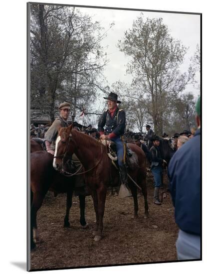 Photo, , large