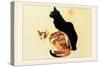 Les Chats-Théophile Alexandre Steinlen-Stretched Canvas