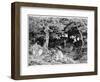 Les Chenes De Roche, C1832- 1860-Theodore Rousseau-Framed Giclee Print