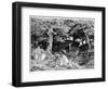 Les Chenes De Roche, C1832- 1860-Theodore Rousseau-Framed Giclee Print