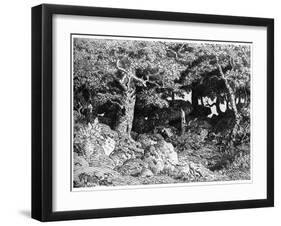 Les Chenes De Roche, C1832- 1860-Theodore Rousseau-Framed Giclee Print