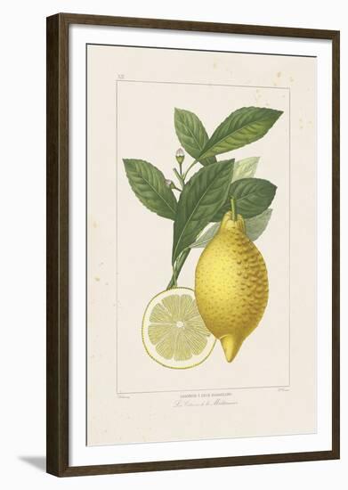 Les Citrons I-A^ Poiteau-Framed Giclee Print