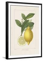 Les Citrons I-A^ Poiteau-Framed Giclee Print