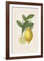 Les Citrons I-A^ Poiteau-Framed Giclee Print