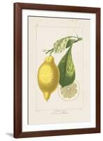 Les Citrons II-A^ Poiteau-Framed Giclee Print