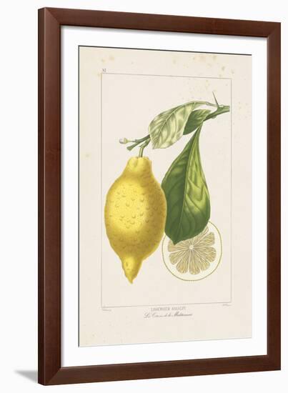 Les Citrons II-A^ Poiteau-Framed Giclee Print