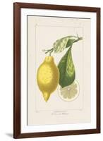 Les Citrons II-A^ Poiteau-Framed Giclee Print