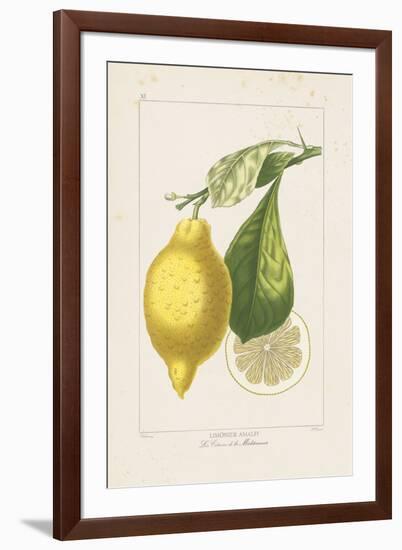 Les Citrons II-A^ Poiteau-Framed Giclee Print