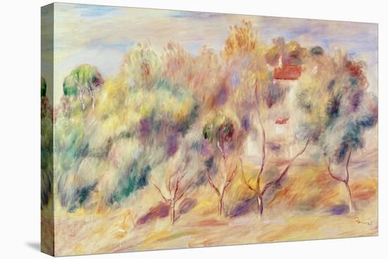 Les Colettes, Cagnes-Sur-Mer-Pierre-Auguste Renoir-Stretched Canvas