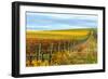 Les Collines Vineyard in Autumn, Walla Walla, Washington, USA-Richard Duval-Framed Photographic Print