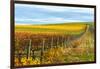 Les Collines Vineyard in Autumn, Walla Walla, Washington, USA-Richard Duval-Framed Photographic Print