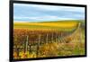 Les Collines Vineyard in Autumn, Walla Walla, Washington, USA-Richard Duval-Framed Photographic Print