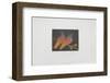 Les colombes de la Paix-Laurent Schkolnyk-Framed Limited Edition