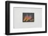 Les colombes de la Paix-Laurent Schkolnyk-Framed Limited Edition